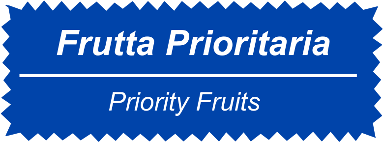 Fruits Veggies Castle Frame Clipart Icon Png - Reine (800x296), Png Download