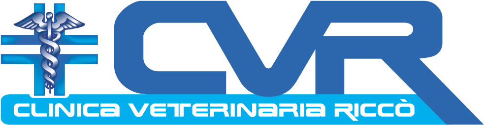 Logo Cvr 1000 - Carl Verheyen Take One Step (1000x266), Png Download