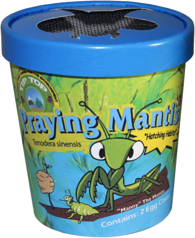 Praying Mantis - Beneficial Insects (871x1024), Png Download