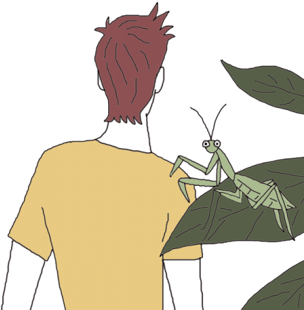 Mantis - Dream Dictionary (450x450), Png Download