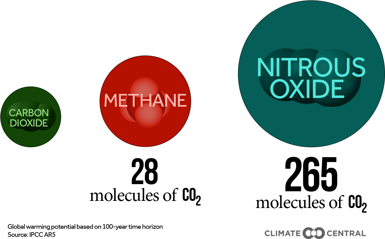 [back - Circle (1920x1080), Png Download