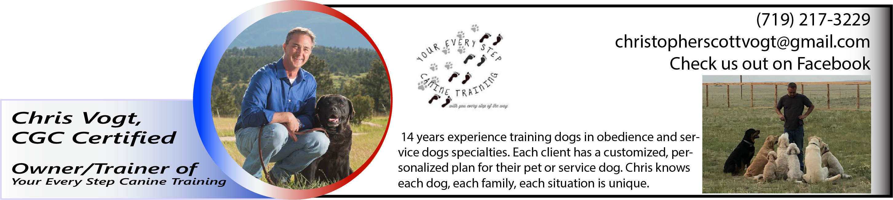 Trainers - Companion Dog (2904x652), Png Download