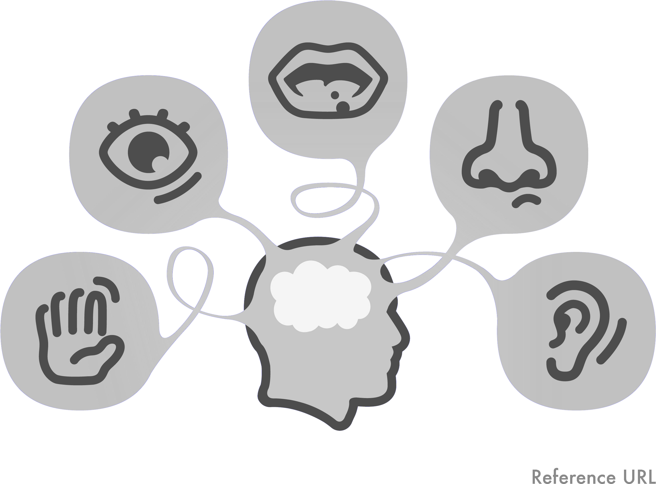 Sight, Hearing, Taste, Smell, And Touch - Day Inside My Mind: Poetry (2800x2156), Png Download