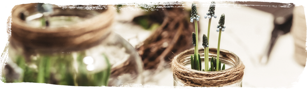 Atw Blog Maks Chesvan Smell - Felopio In South Africa (1000x297), Png Download