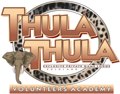Volunteering For Conservation - Thula Thula (500x354), Png Download