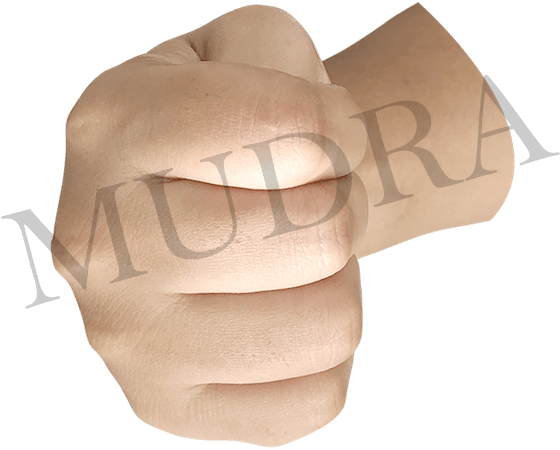 In Simple Words It Is A Closed Fist Position Of The - Suede (786x998), Png Download