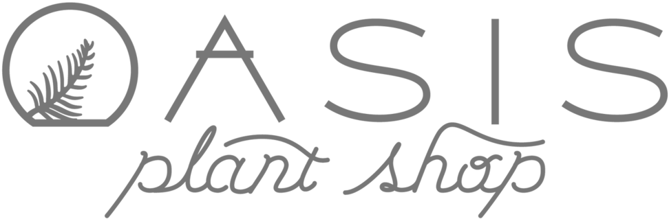 Oasis - Digital Watchdog, Inc. (1000x356), Png Download