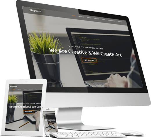 Services We Provide On Shopify Platform - Flat Panel Display (520x480), Png Download