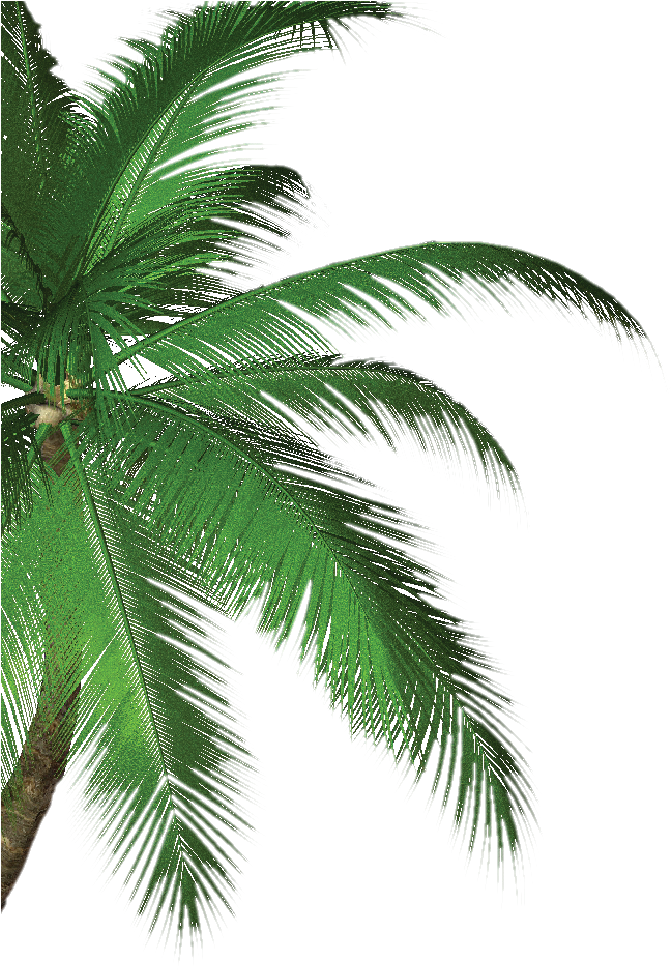 Tree - Tropical Savor Bar And Grill (671x1268), Png Download