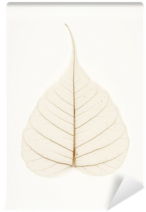 Banyan Tree Leaf (400x400), Png Download