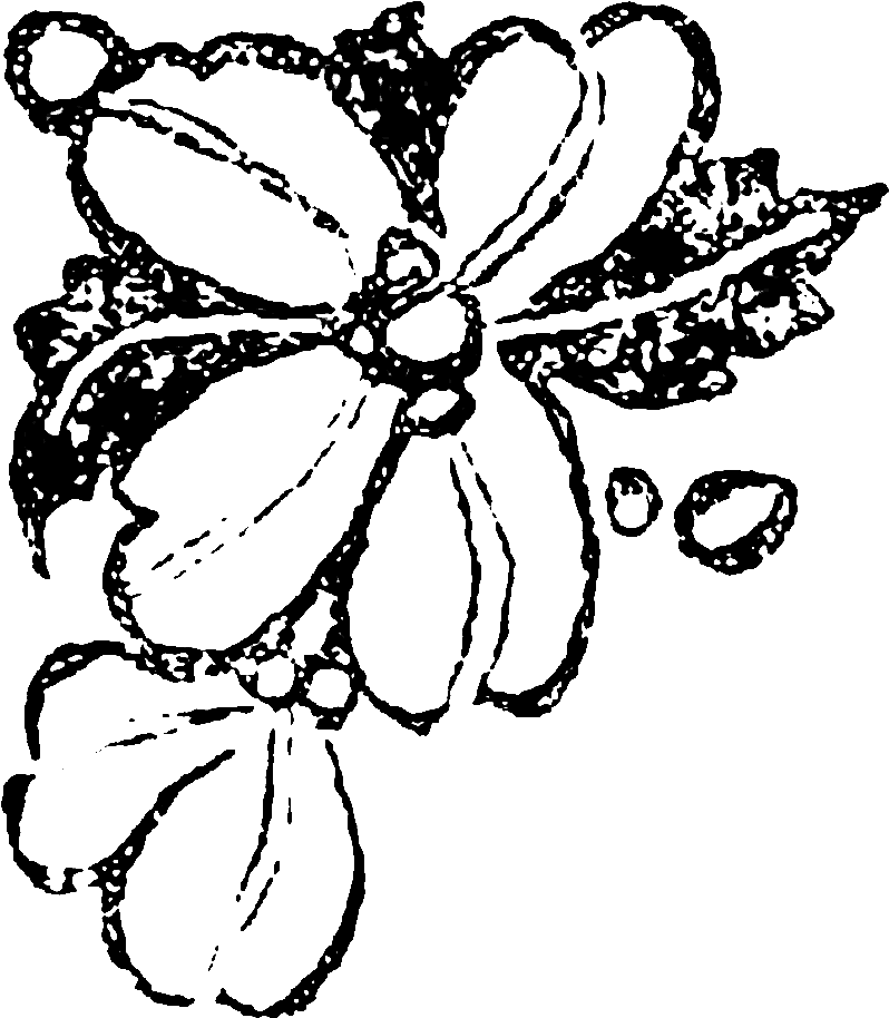 These Digital Flower Illustrations Can Be Used To Create - Illustration (1200x1219), Png Download
