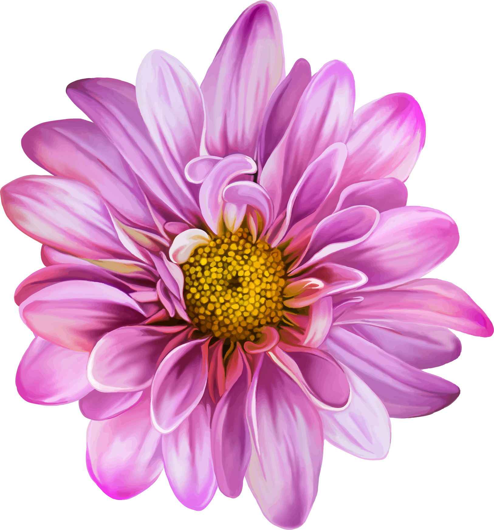 Vector Flowers, Art Flowers, Spring Flowers, Flower - Lisa Flower (1626x1746), Png Download