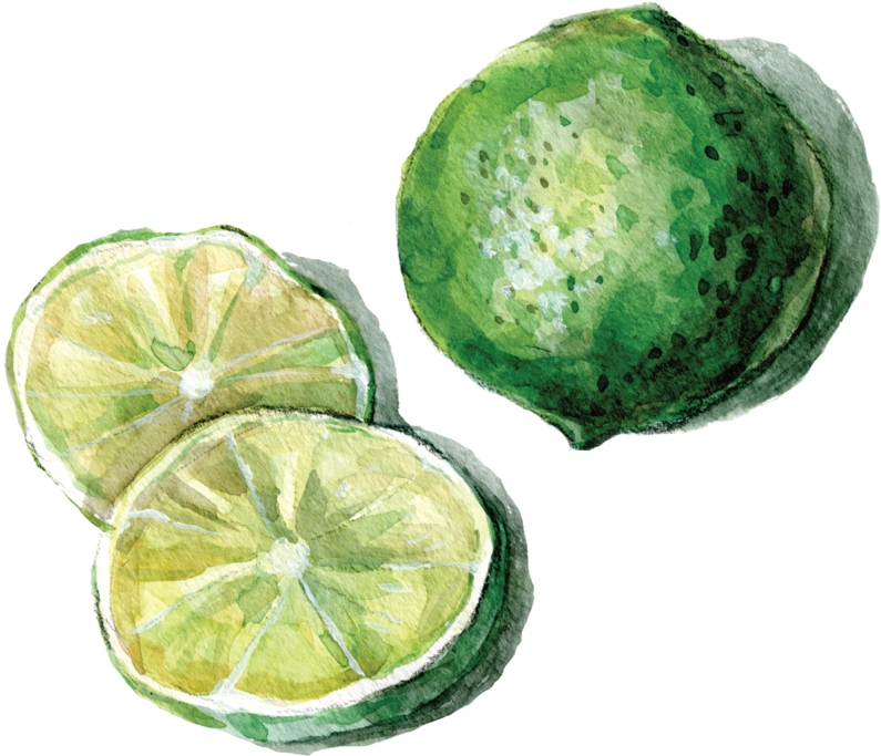Lime Vector - Portable Network Graphics (1000x912), Png Download