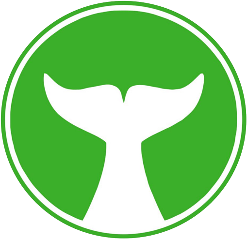 White Whale Solutions - Green Whale Logo (532x531), Png Download