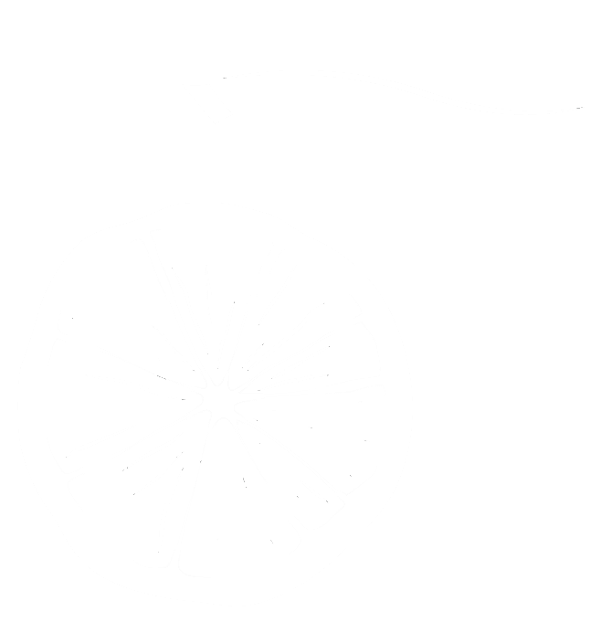 Ship's Wheel (666x680), Png Download