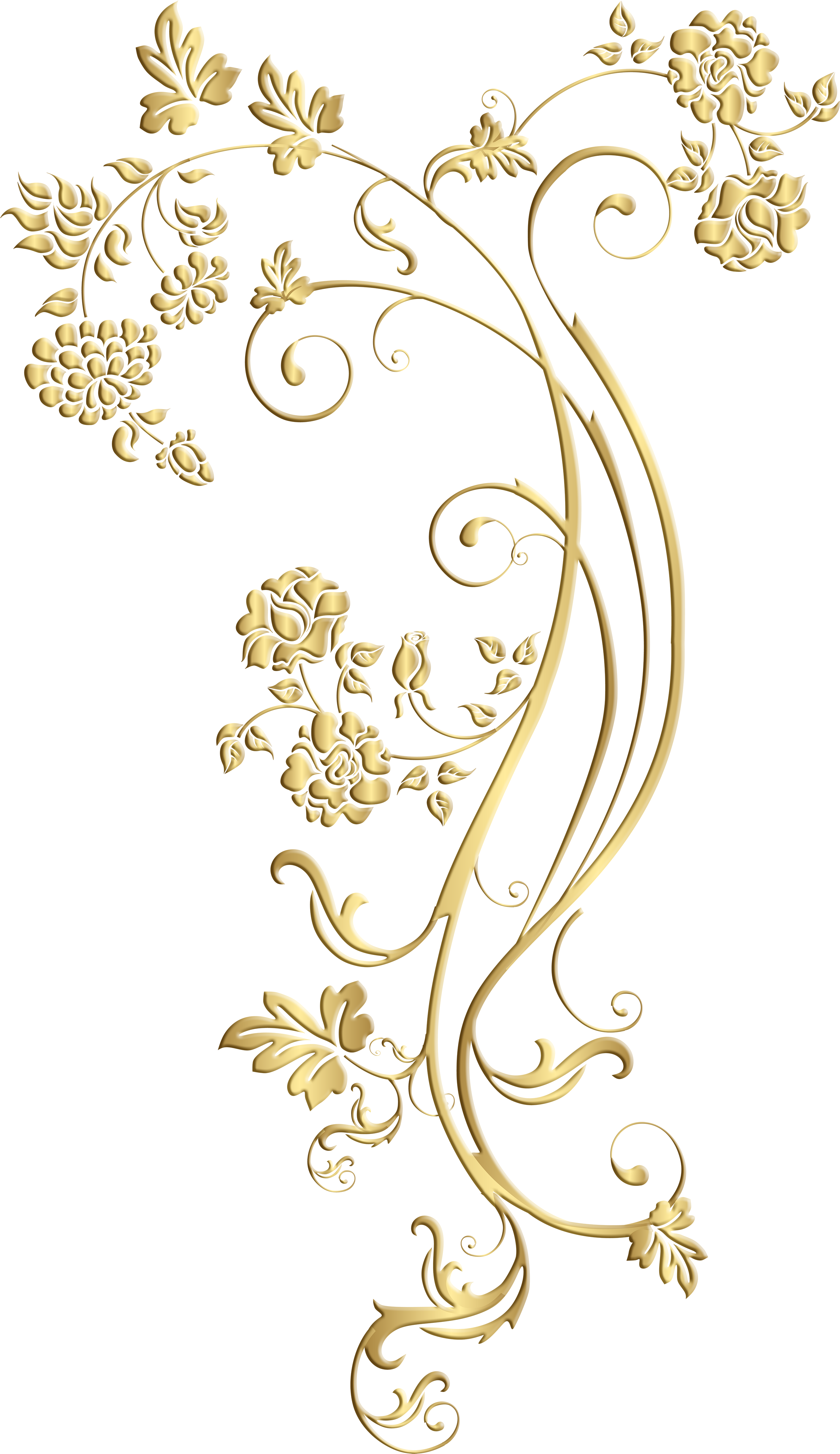 Clip Art (2889x5000), Png Download