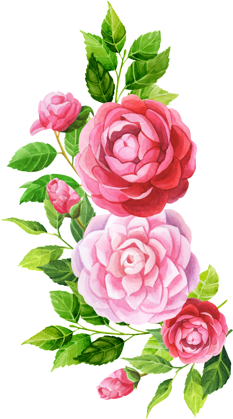 Hand Painted Pink Flower Png Transparent - Watercolor Painting (1024x1536), Png Download