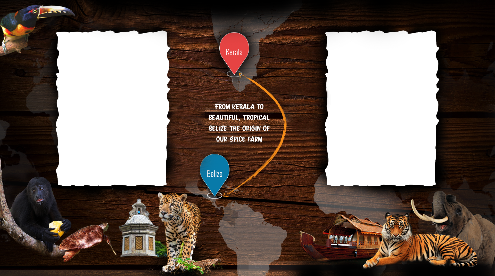 Background New - Point Defiance Zoo & Aquarium (1920x1069), Png Download