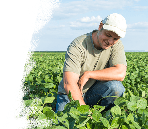 Agrivi Tab Image Farmers - Agriculture (520x453), Png Download