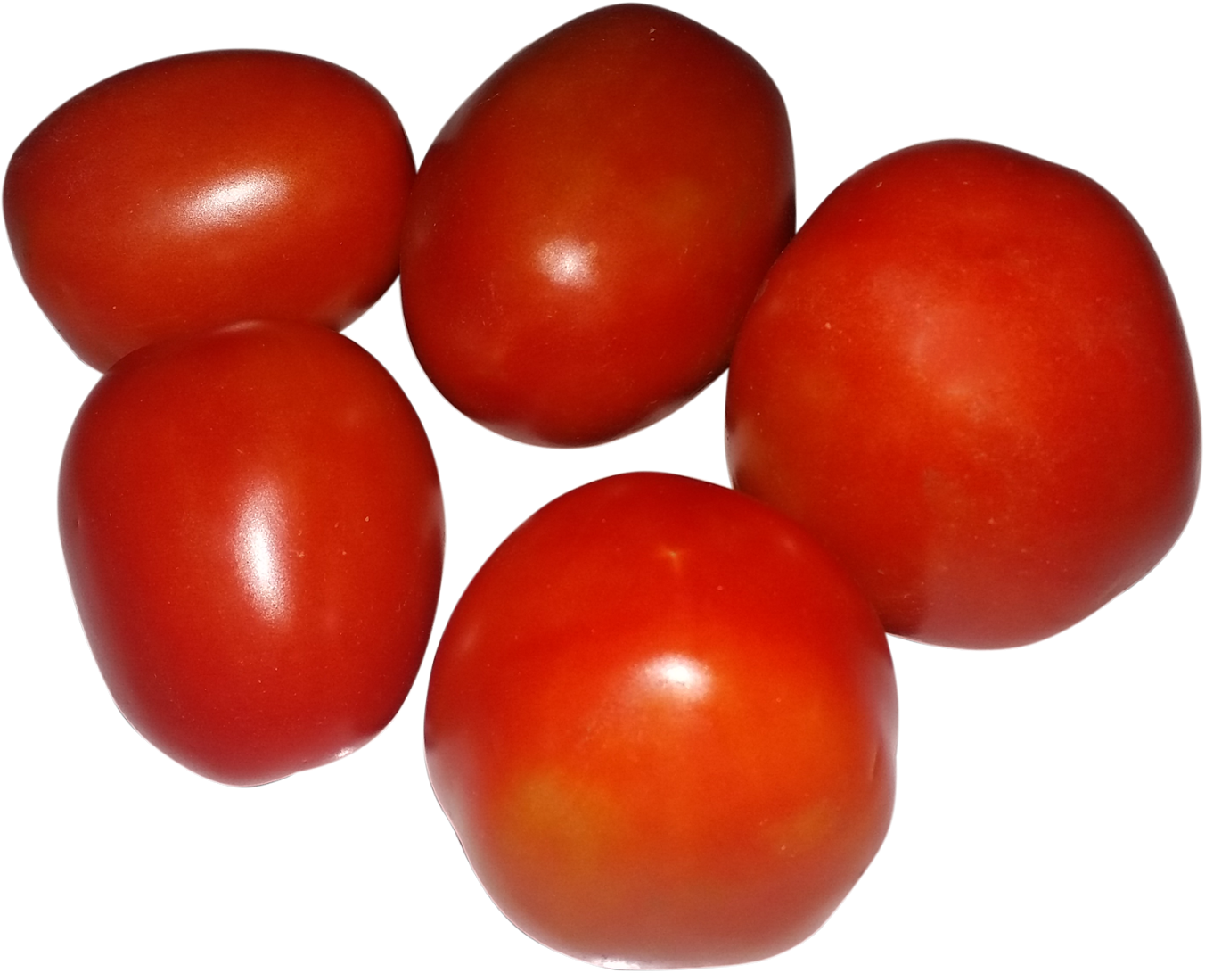 Download Free Tomato Png Large Images Transparent Gallery - Plum Tomato (1600x1290), Png Download