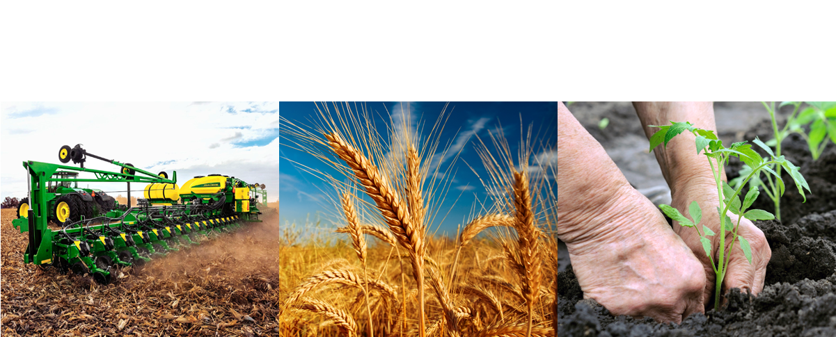 Agri & Horti Asia - Ultimate Guide To Old-fashioned Country Skills (1200x504), Png Download