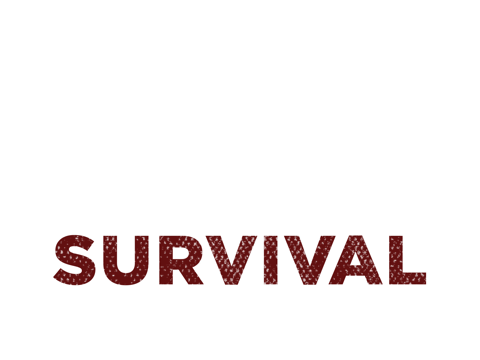 Yahoo Survival Football (480x360), Png Download