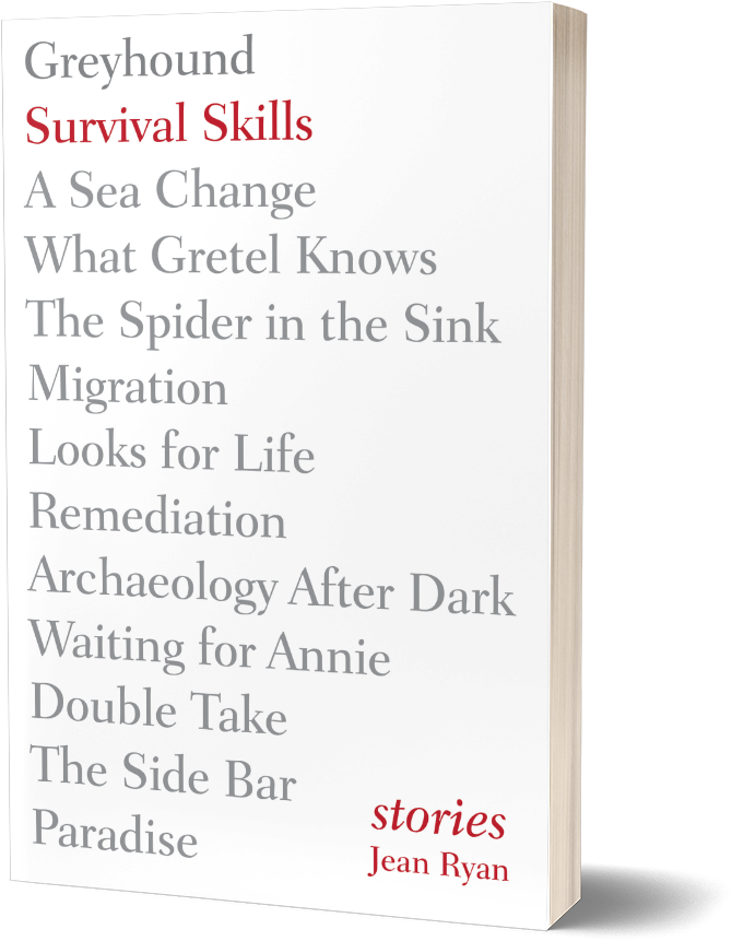 Cover Of Survival Skills - Survival Skills: Stories (800x961), Png Download