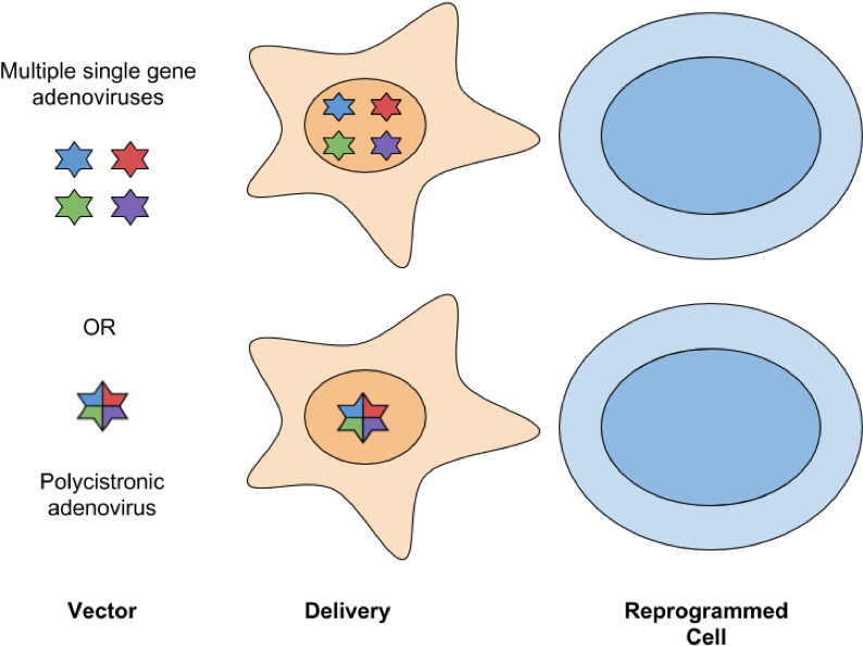 Png Royalty Free Delivery Methods For Generating - Circle (891x686), Png Download