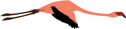 Flying Cute Borders Vectors Animated Black And - Crane (508x508), Png Download