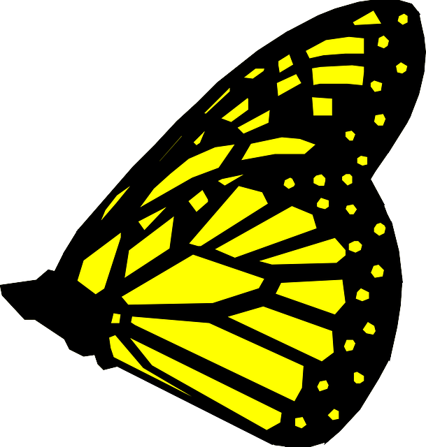Black, Yellow, Butterfly, Insect, Pretty, Butterflies - Animated Flying Butterfly Clipart (609x640), Png Download