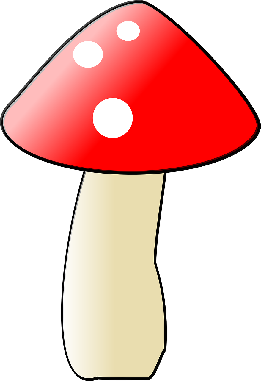 Mushroom Png Images (412x600), Png Download