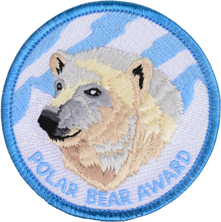 Polar Bear Patch - Polar Bear (800x803), Png Download