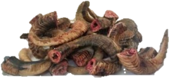 Mallard (600x600), Png Download