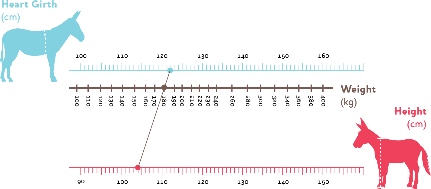 Donkey Weight Estimator - Donkey (1650x812), Png Download