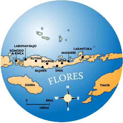 Flores Island Hobbits, Hot Springs And High Mountains - Circle (430x430), Png Download
