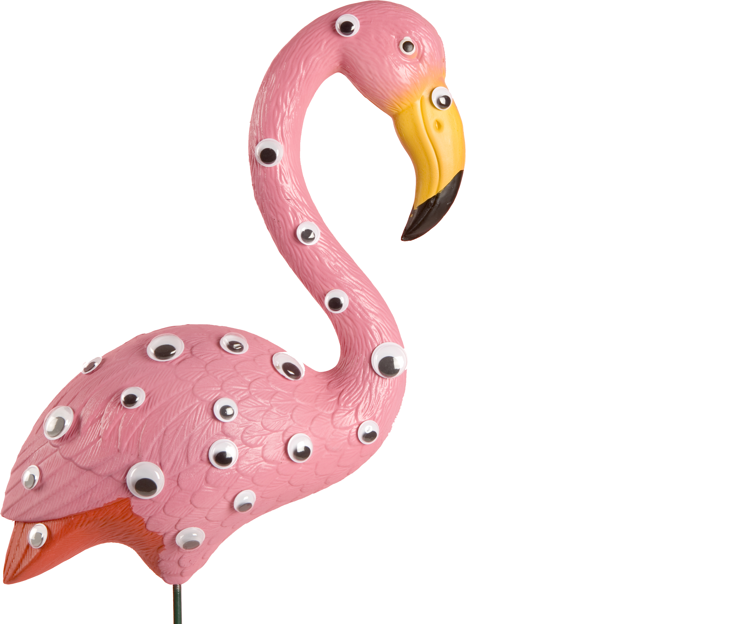 Greater Flamingo (5616x3744), Png Download