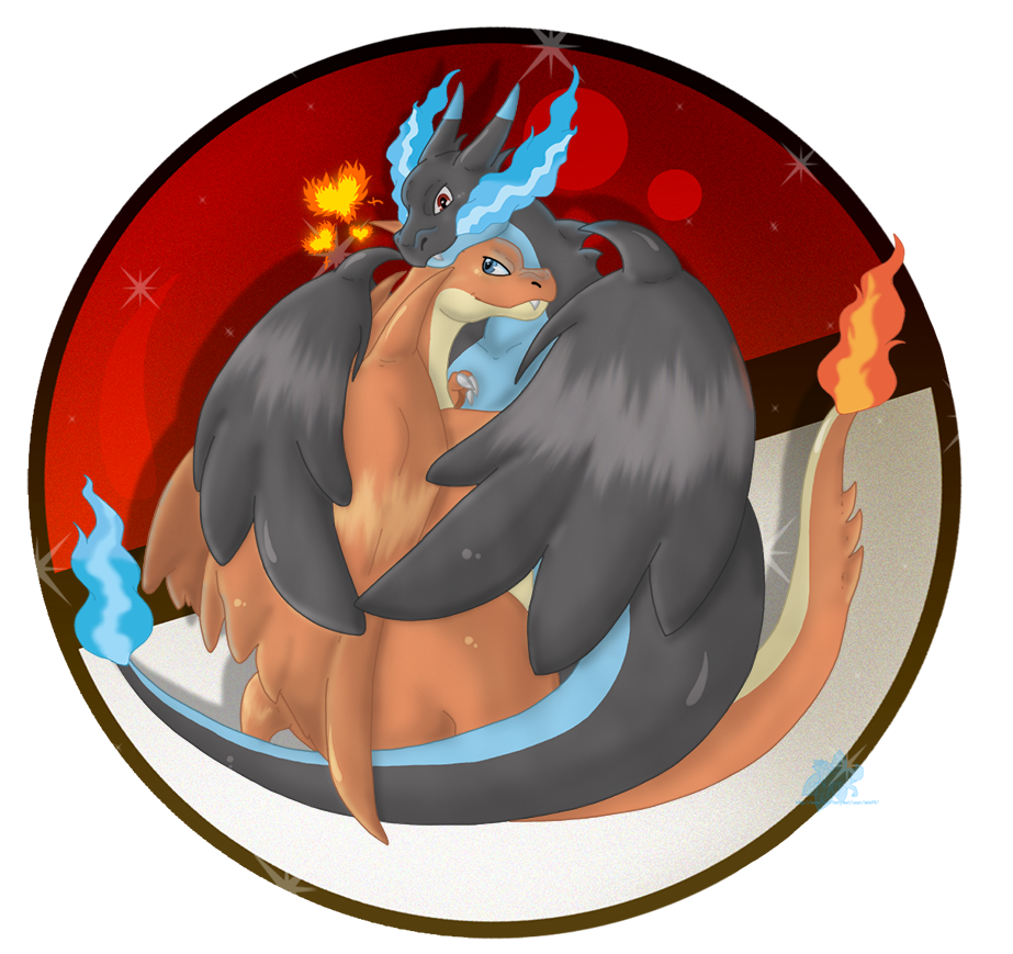Mega Charizard Hugs - Charizard Hugs (958x873), Png Download