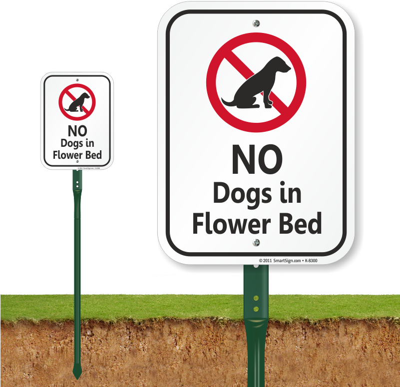 Zoom, Price, Buy - Dont Pick Flowers Signage (800x800), Png Download