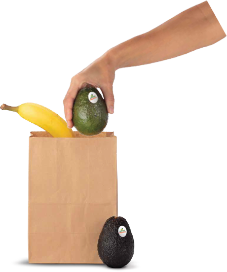 How To Cut An Avocado, How To Tell If An Avocado Is - Avocados From Mexico (448x536), Png Download