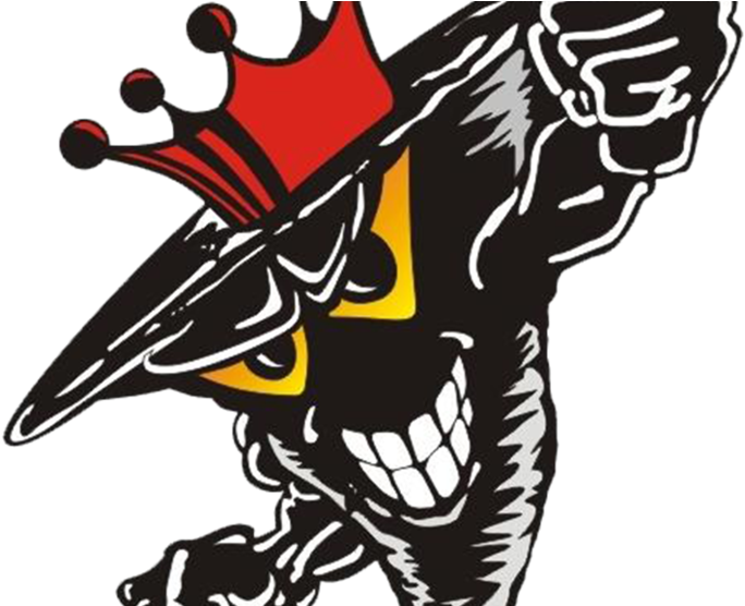 Northmedford - North Medford High School Logo (986x555), Png Download