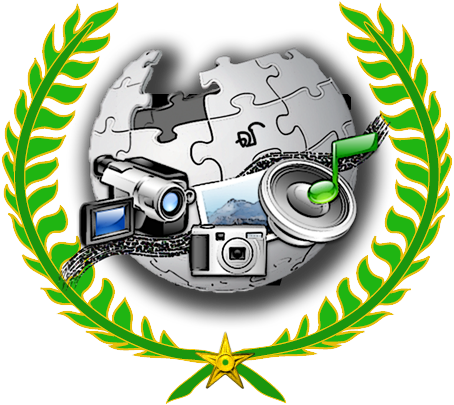 Twmc Winner Barnstar - 3rd Place (454x405), Png Download