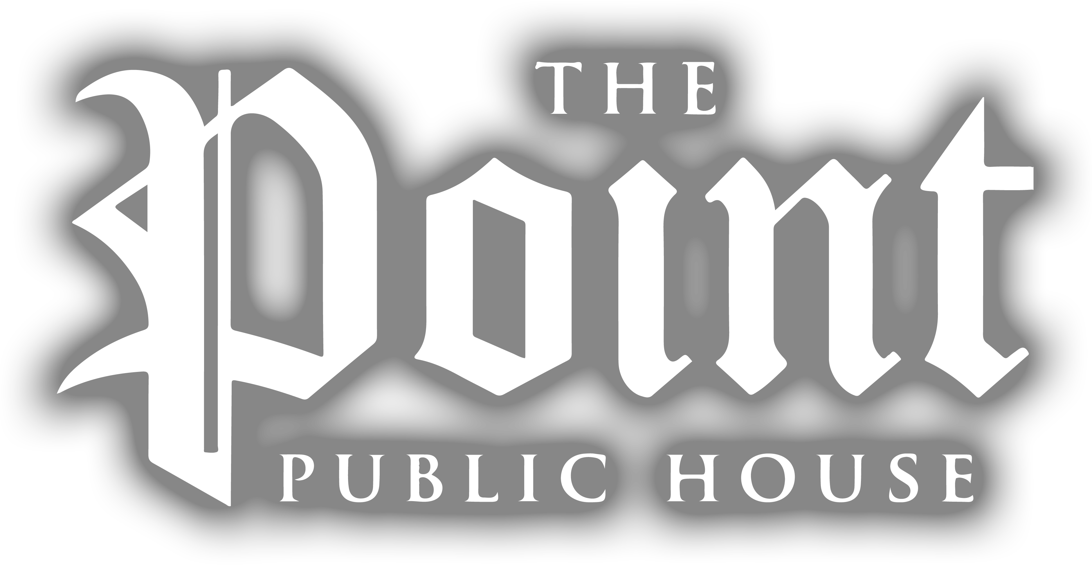 Point Logo White Blur - Logo (3761x1985), Png Download