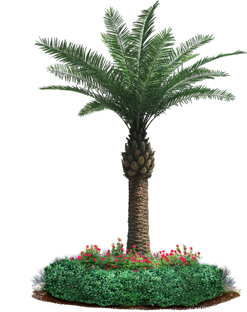 Our Motto Is “leaf It To Us” And It Holds The Company's - Trees In Garden Png (1248x1120), Png Download