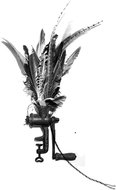 Feathers - Monochrome (500x400), Png Download