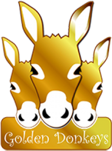 Golden Donkeys (600x315), Png Download