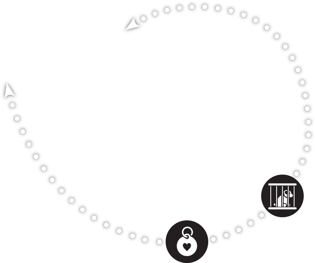 Bizbark For Shelters Supports Successful Adoptions - Circle (1006x839), Png Download