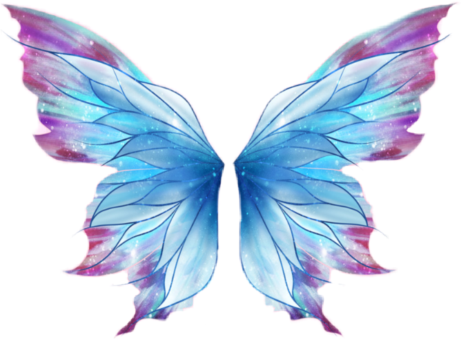 Report Abuse - Butterfly Wings Png (668x491), Png Download
