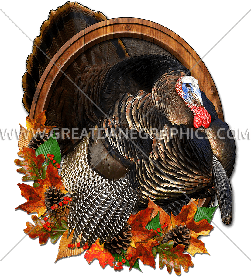 Mister Thankful Thanksgiving Turkey Baseball Sleeve (825x972), Png Download