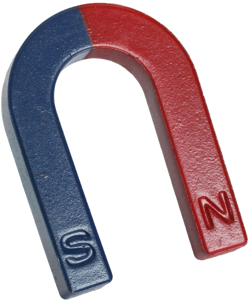 Horseshoe Magnet Png Download Image - U Shaped Horseshoe Magnet (1000x1194), Png Download