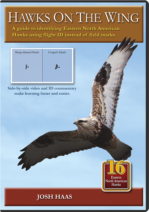 Hawks On The Wing (776x891), Png Download